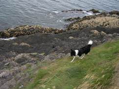 Linus mein kleiner freund